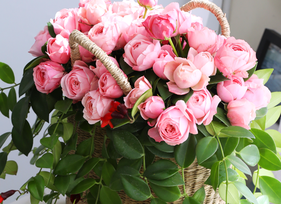 Romatic Rose ���� �ɹ��