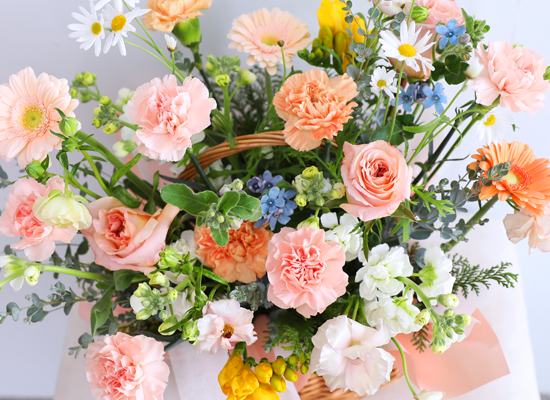 Soft Peach Garden Basket ���� �ɹ��