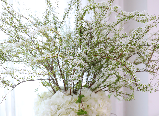 For Your Beautiful Moment ���� �ɹ��