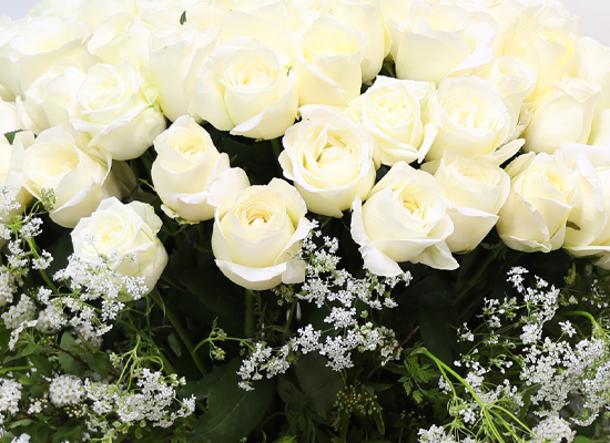 A Pure Wish ���� �ɹ��