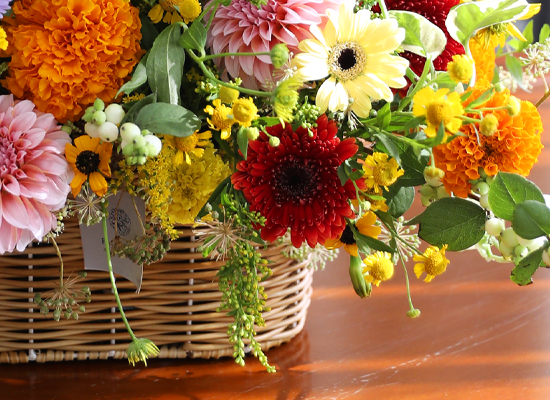 Sunlight Happiness ���� �ɹ��