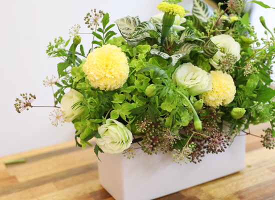 �ʷ� �� ��� ���� �ɹ��