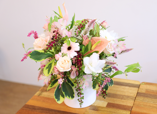 ��ȫ�� �±� ���� �ɹ��