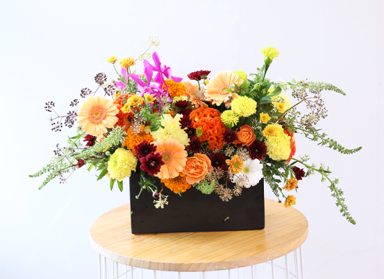 ��� ���� ���� ���� �ɹ��