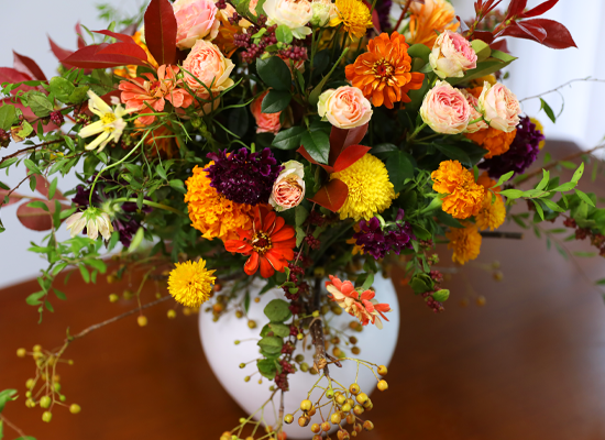 ������ ���� ������ �޻� ���� �ɹ��