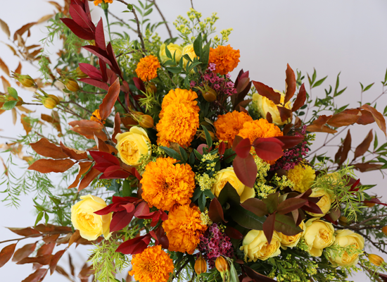 Brilliantly Ripened Today ���� �ɹ��