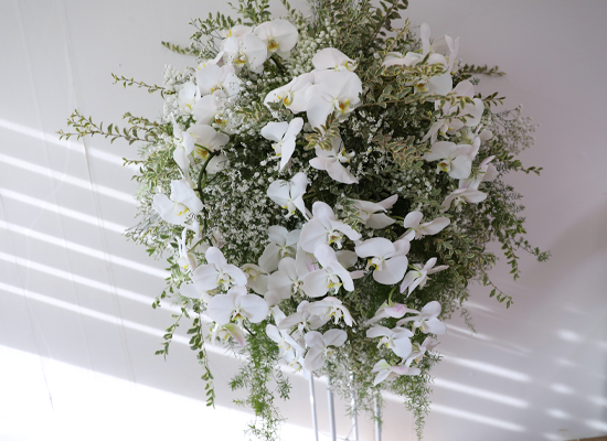 ������ �Ƚ��� ���� ���� �ɹ��