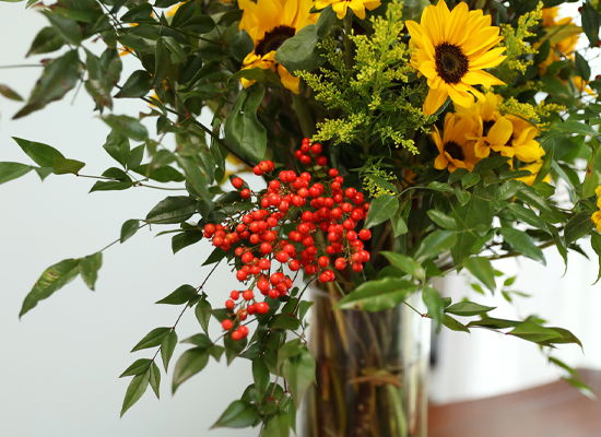 ���� �±��� ���� ���� �ɹ��