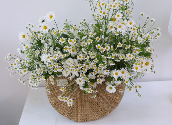 ���� �޻� ��� ���� ���� �ɹ��