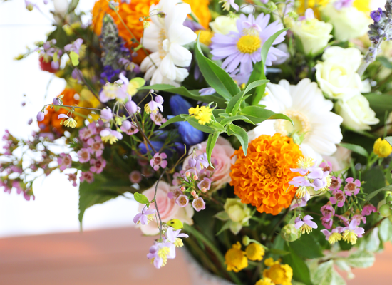 Full of Warmth ���� �ɹ��