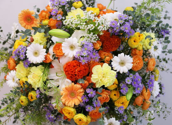 �޻� �Ѱ����� �ູ ���� �ɹ��