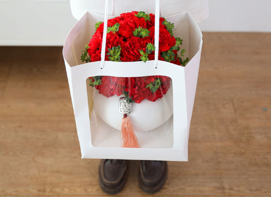 �޺� ���� ī���̼� ���׾Ƹ� ���� �ɹ��