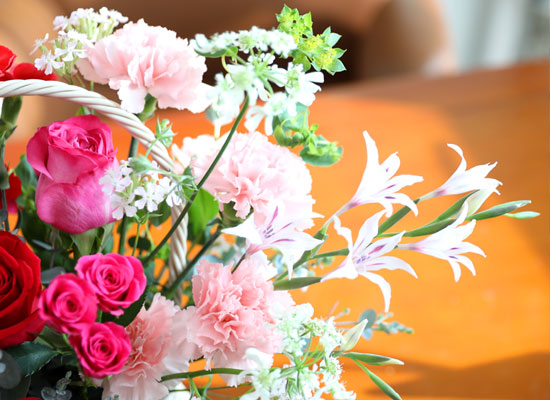 ���� ����� ��� - ������ ���� ���� �ɹ��