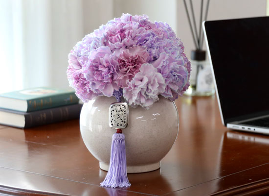 ���׾Ƹ� ī���̼� - Purple ���� �ɹ��