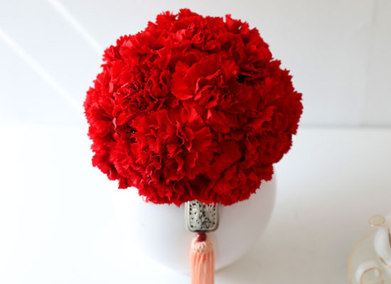 ���׾Ƹ� ī���̼� - ����� ī���̼� ���� �ɹ��