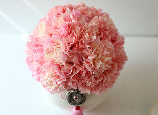 ���׾Ƹ� ī���̼� - �ǰ��ϼ��� ���� �ɹ��