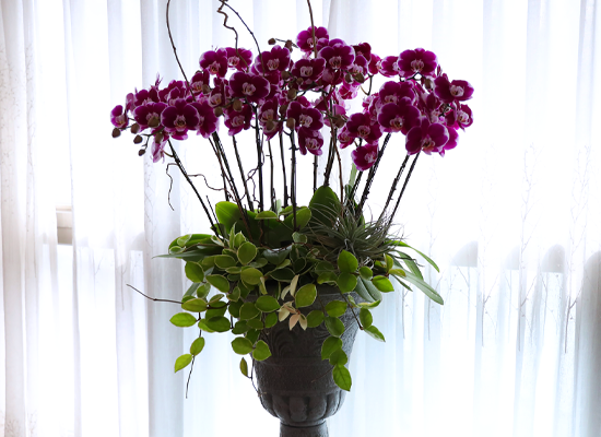 ���ֺ� �� �� �ɱ׸� - ������ �� ���� �ɹ��