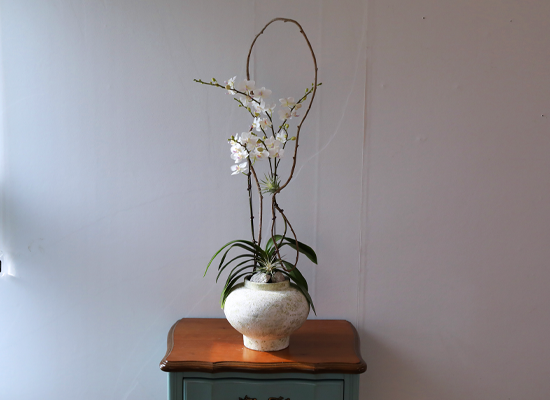 ������ �޹��� - ������ �� ���� �ɹ��