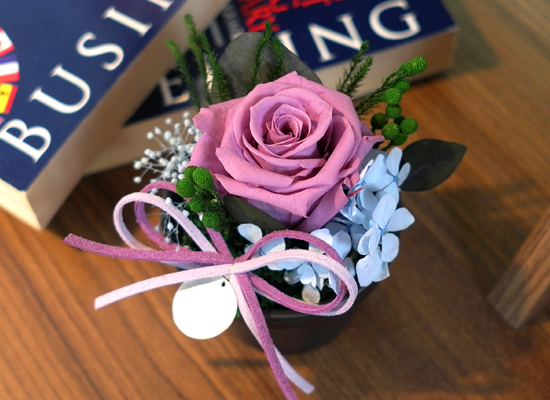 Endless Love - ����&���̿÷� ���� �ɹ��