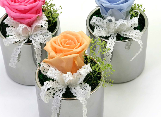 Endless Love - �ǹ�ȭ�� 3set ���� �ɹ��