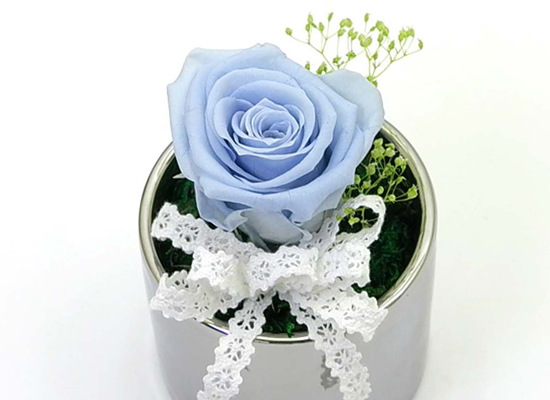 Endless Love - �ǹ�&��ī�̺��� ���� �ɹ��