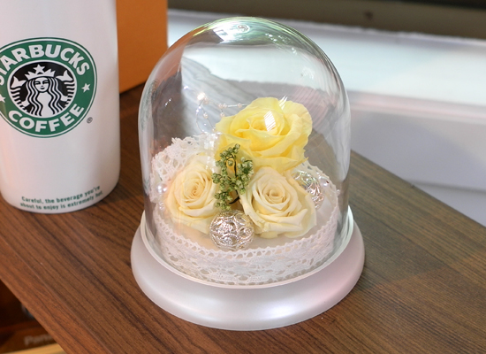 ū �� �� ���� �� - ���̺��� ���� �ɹ��