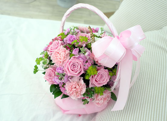 [�ù��ǰ] ��� ������ 5�� - Romantic carnation ���� �ɹ��