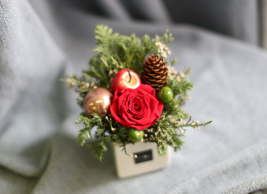 [�ù��ǰ]Christmas Joy - ������ �� ��� �� �ȿ� ���� �ɹ��