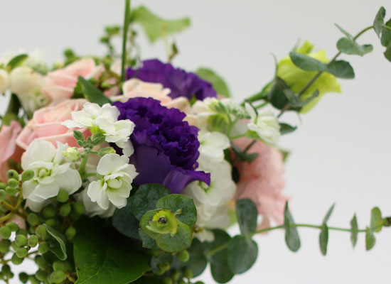[�ù��ǰ]The Abigail - �޻��� ��ġ�� �ƴ��� �ð� ���� �ɹ��