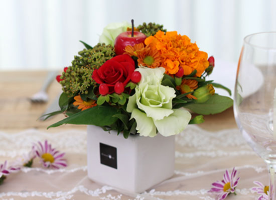 [�ù��ǰ]The Anna - ������ �ֱ⿡ ������ ���� �ɹ��