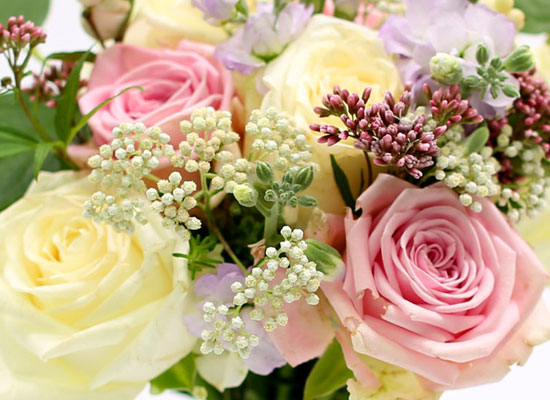 [�ù��ǰ]the Stephanie - �ҳర�� ��� ���� �ɹ��