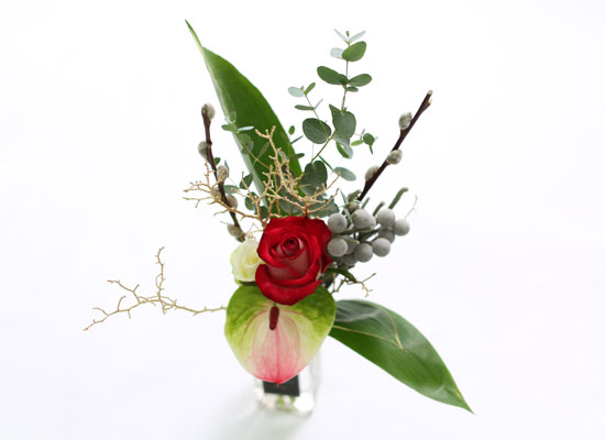 [�ù��ǰ]only for you ���� �ɹ��