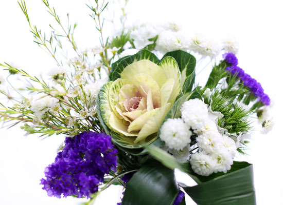 [�ù��ǰ]�� ��� ������ �ӹ��� �;� ���� �ɹ��