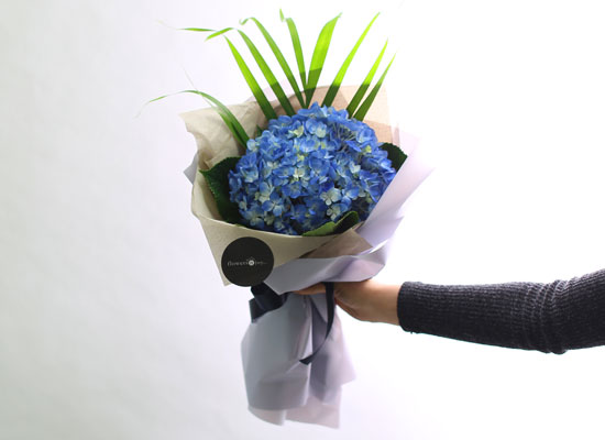 [�ù��ǰ]Fun florals by - ���緹�̵� ���� �ɹ��