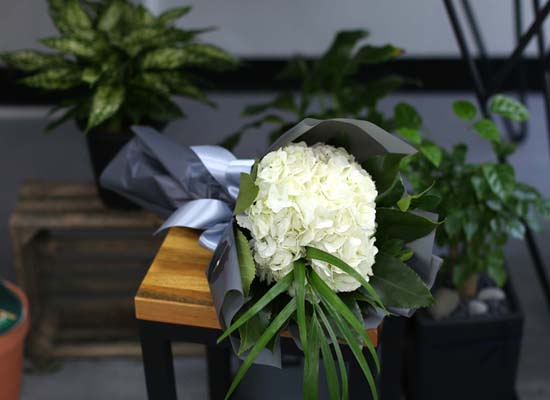[�ù��ǰ]Fun florals by - �������� ���� �ɹ��