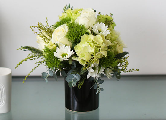 Fresh spring flower Whihe Blossom ���� �ɹ��