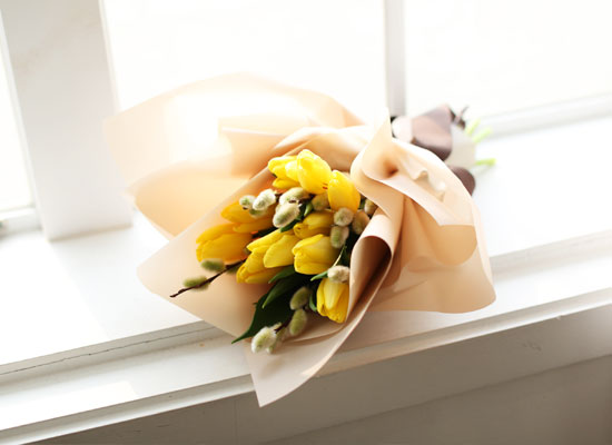 [ùǰ]Fresh spring flower Yellow BongBong  ɹ