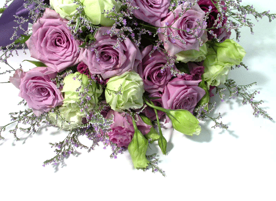 French Purple  ɹ