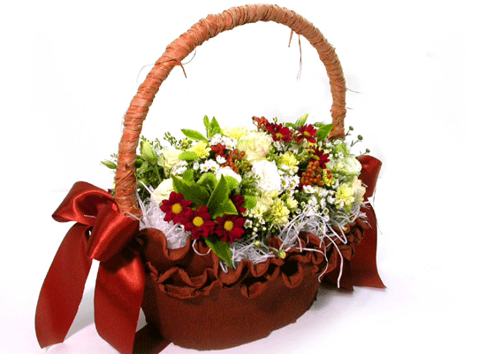 Brown-giftstyle()  ɹ