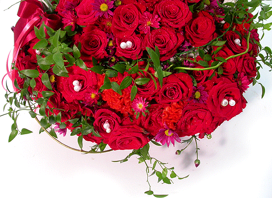 []A love idea(100)  ɹ