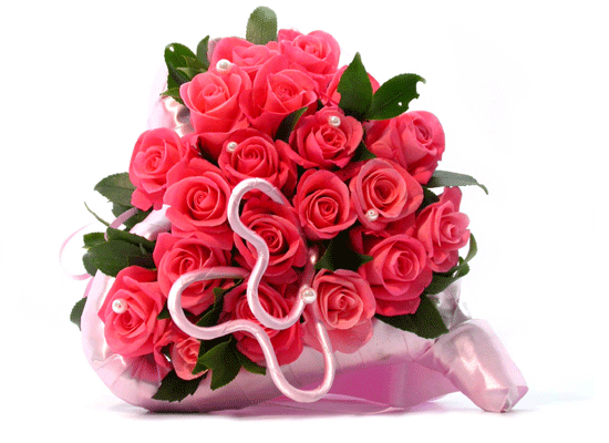 [ۻǰ]The Rose - Mon cheri  ɹ