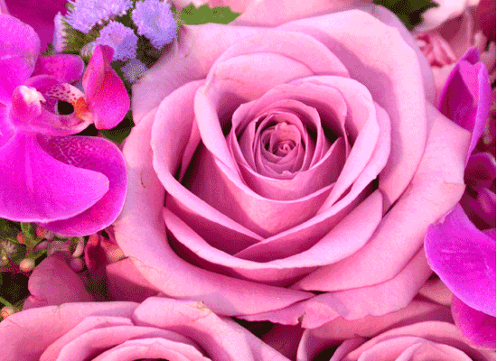 []Birthday - Ű Ʈκ  ɹ