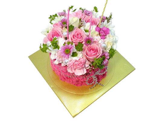 []Birthday - ũ 귯  ɹ