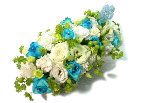 Sunny Blue()  ɹ