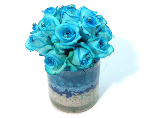 Lusy Blue()  ɹ