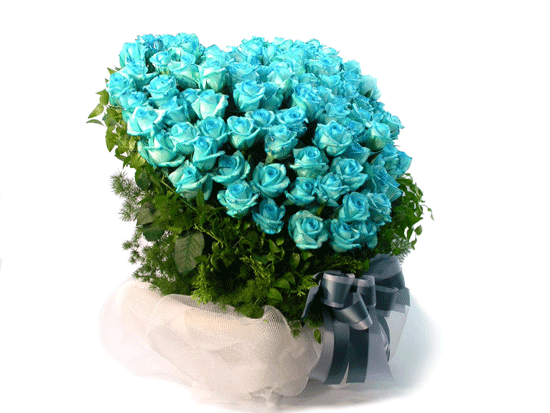 [￹] [100]Captaine Blue(ĸƾ)  ɹ