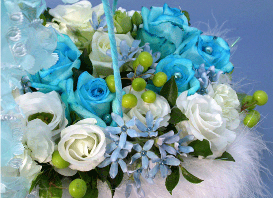 Cute blue  ɹ