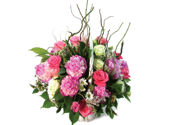 »ç¶ûÀ̶õ? - ÈâÇÑ ³¯! ²ÉÁý ²É¹è´Þ