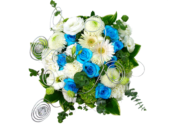 The Blue Paradise - Staple it together ���� �ɹ��