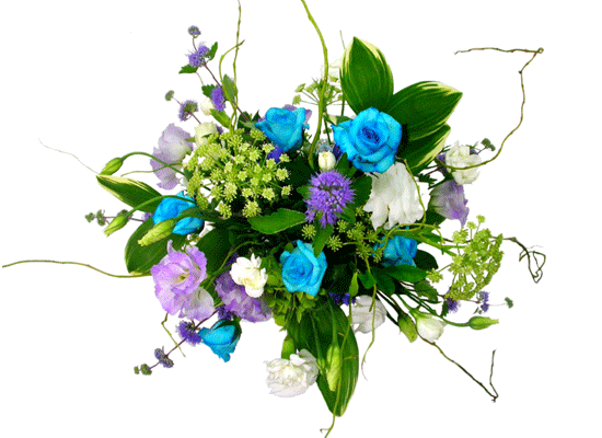 The Blue Paradise - Belle ���� �ɹ��